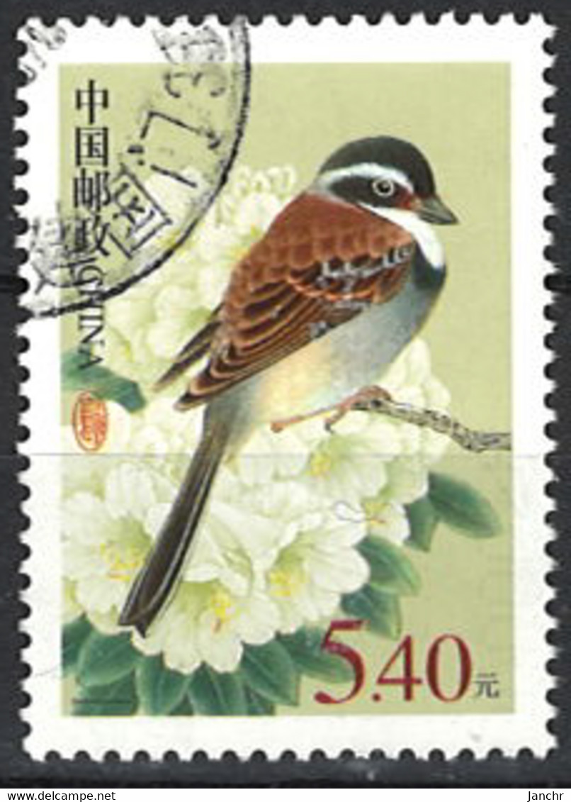 China 2002. SG 4682, Used O - Used Stamps