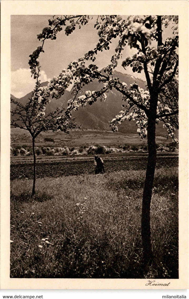 Heimat - Frühling In Untervaz (23/3148) - Vaz/Obervaz