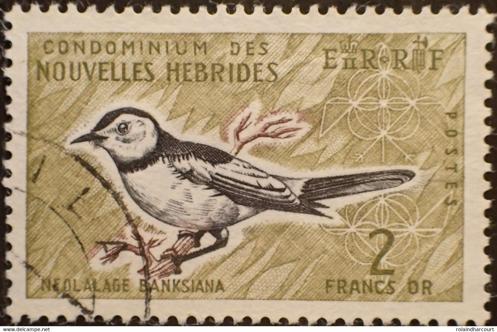 R2269/467 - 1963 - COLONIES FR. - NOUVELLE HEBRIDES - N°206 ☉ - Usati