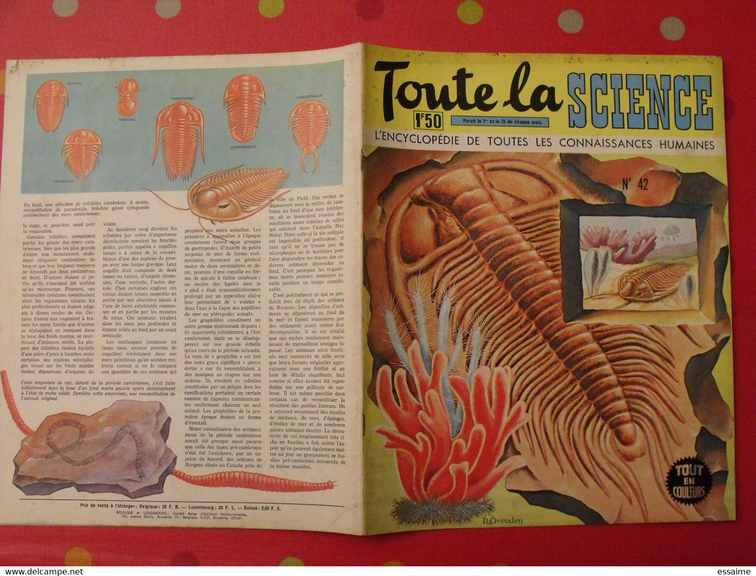 41 Numéros De "Toute La Science". 1963-65. Encyclopédie De Toutes Les Connaissances Humaines. Dessinée - Wissenschaft