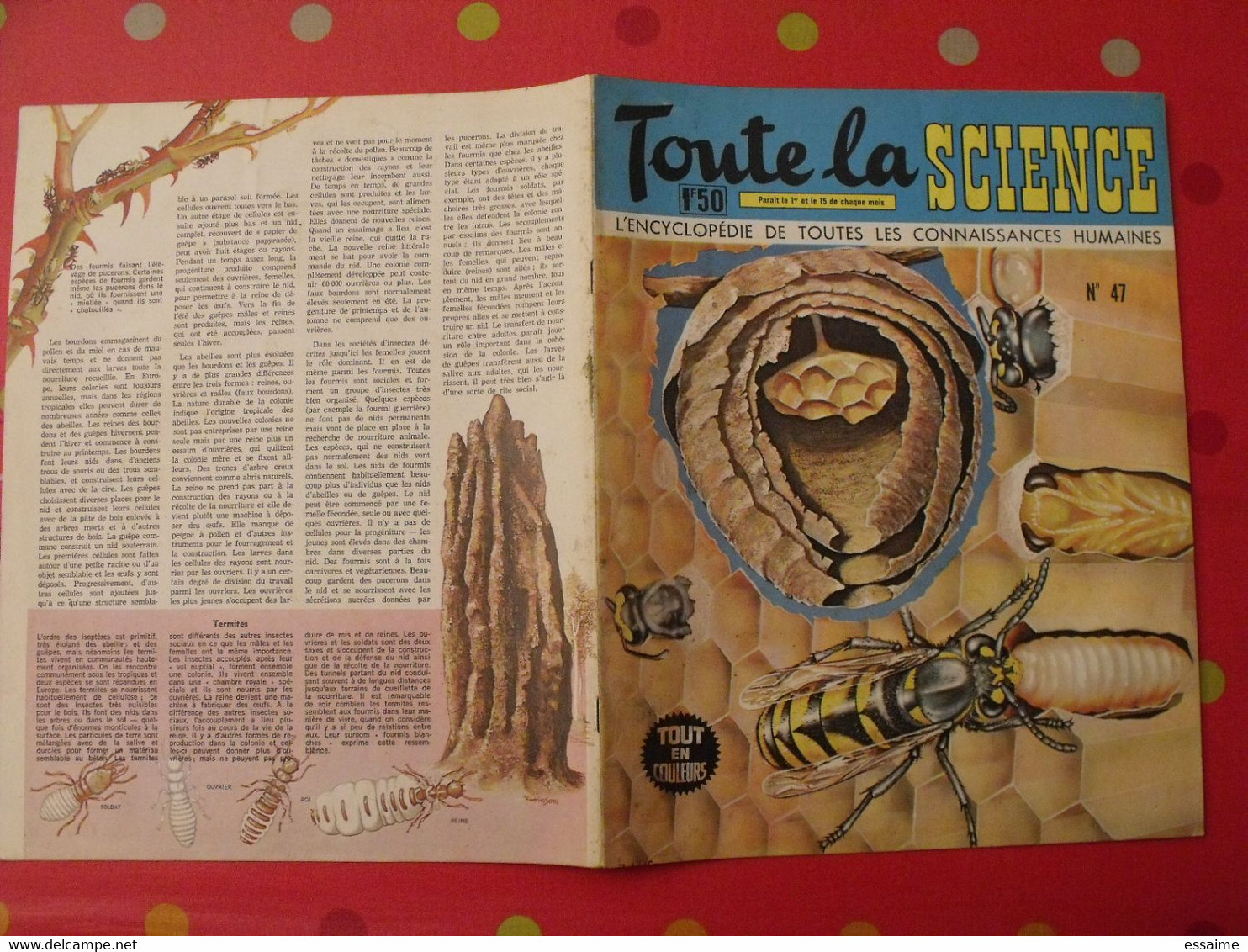 41 Numéros De "Toute La Science". 1963-65. Encyclopédie De Toutes Les Connaissances Humaines. Dessinée - Ciencia