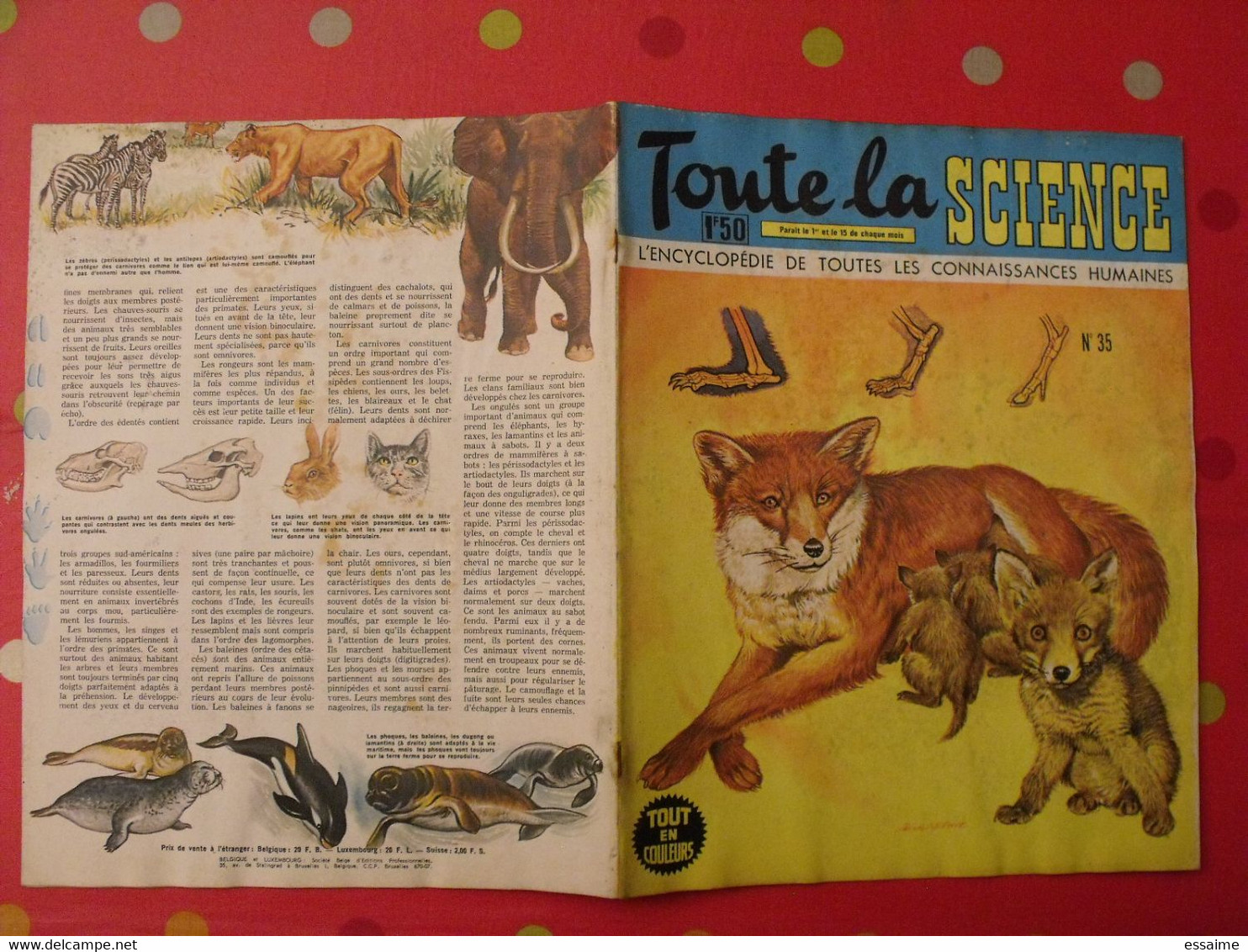 41 numéros de "Toute la science". 1963-65. encyclopédie de toutes les connaissances humaines. dessinée