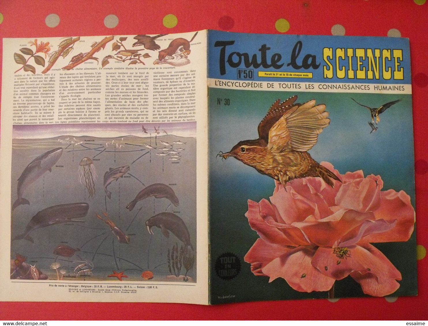 41 numéros de "Toute la science". 1963-65. encyclopédie de toutes les connaissances humaines. dessinée