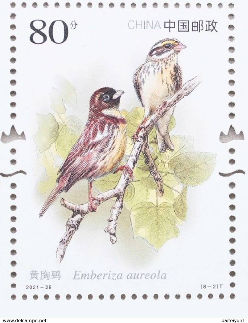 CHINA 2021-28 Important 1st Class Wildlife(III) Bird Animals Sheet - Pavoni