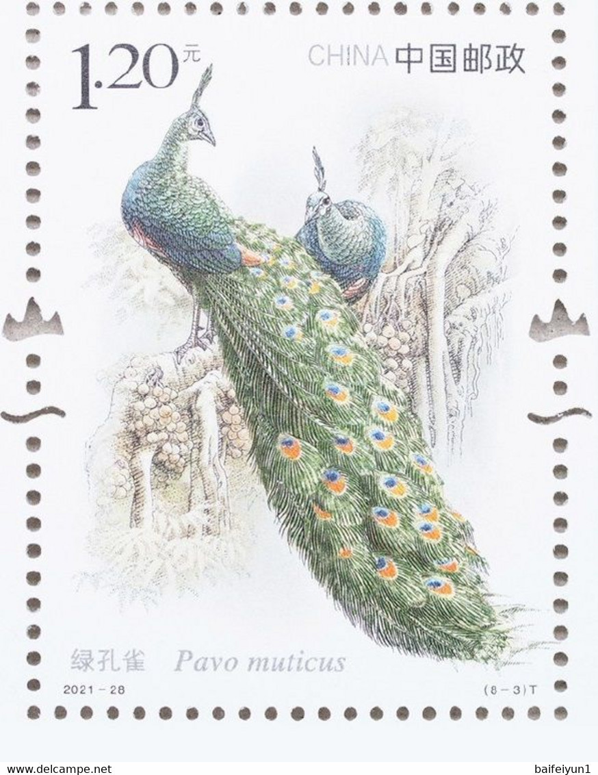 CHINA 2021-28 Important 1st Class Wildlife(III) Bird Animals Sheet - Pavos Reales