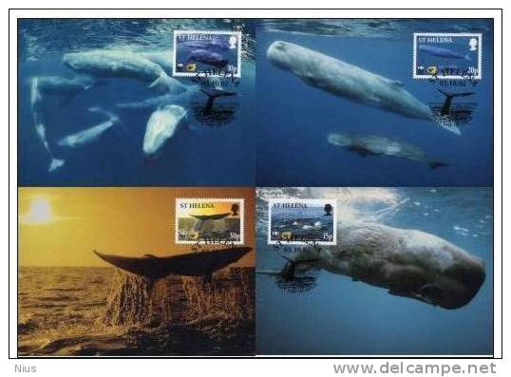 St Saint Helena 2002 WWF W.W.F. MC Whale Set X4 Marine Life Maximum Cards - Maximum Cards