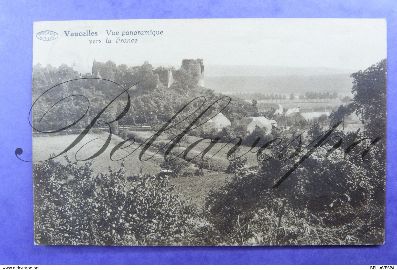 Vaucelles Vue Panoramique Vers La France 1931 - Doische