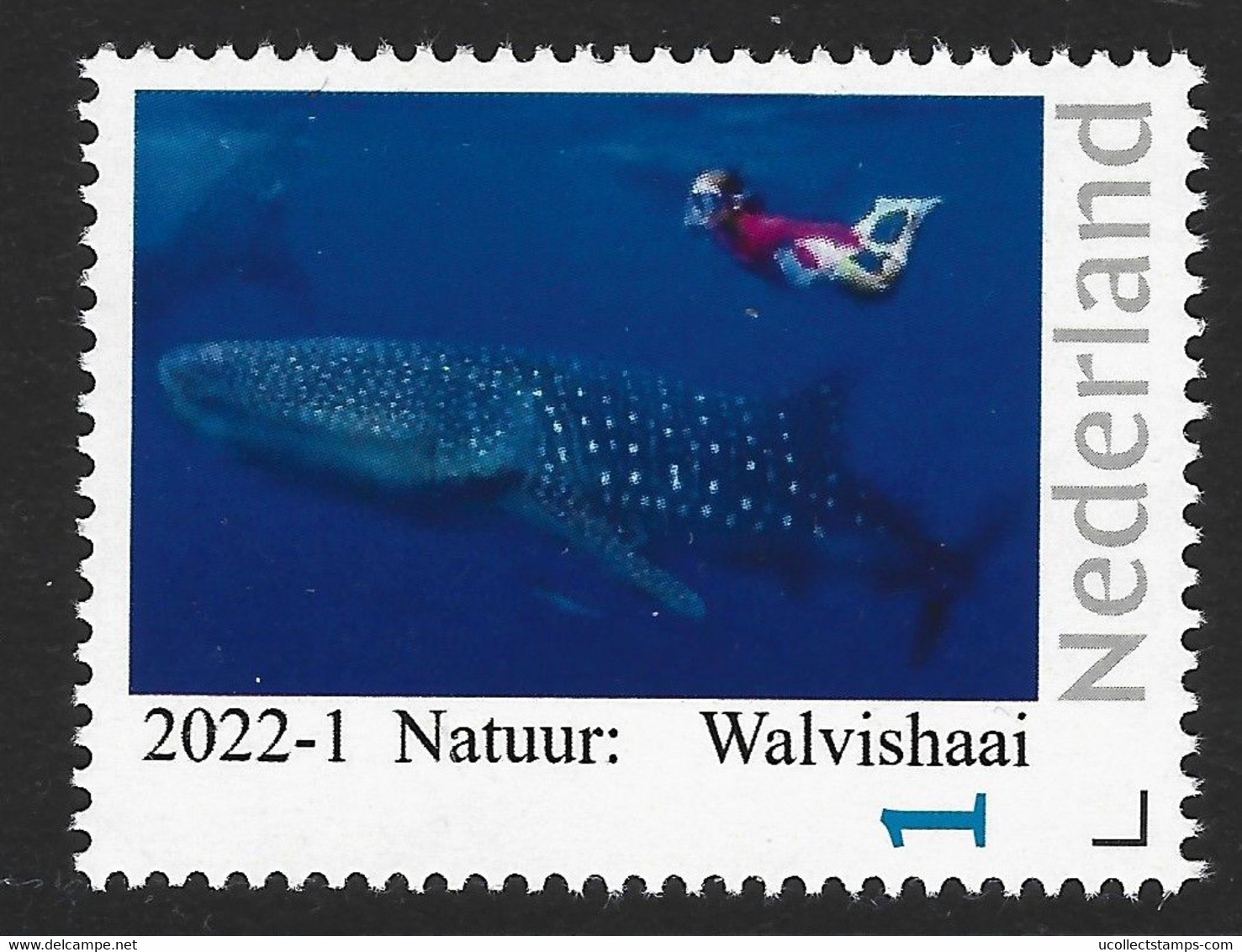 Nederland  2022-1  Walvishaai  Whale Shark        Postfris/mnh/neuf - Nuevos