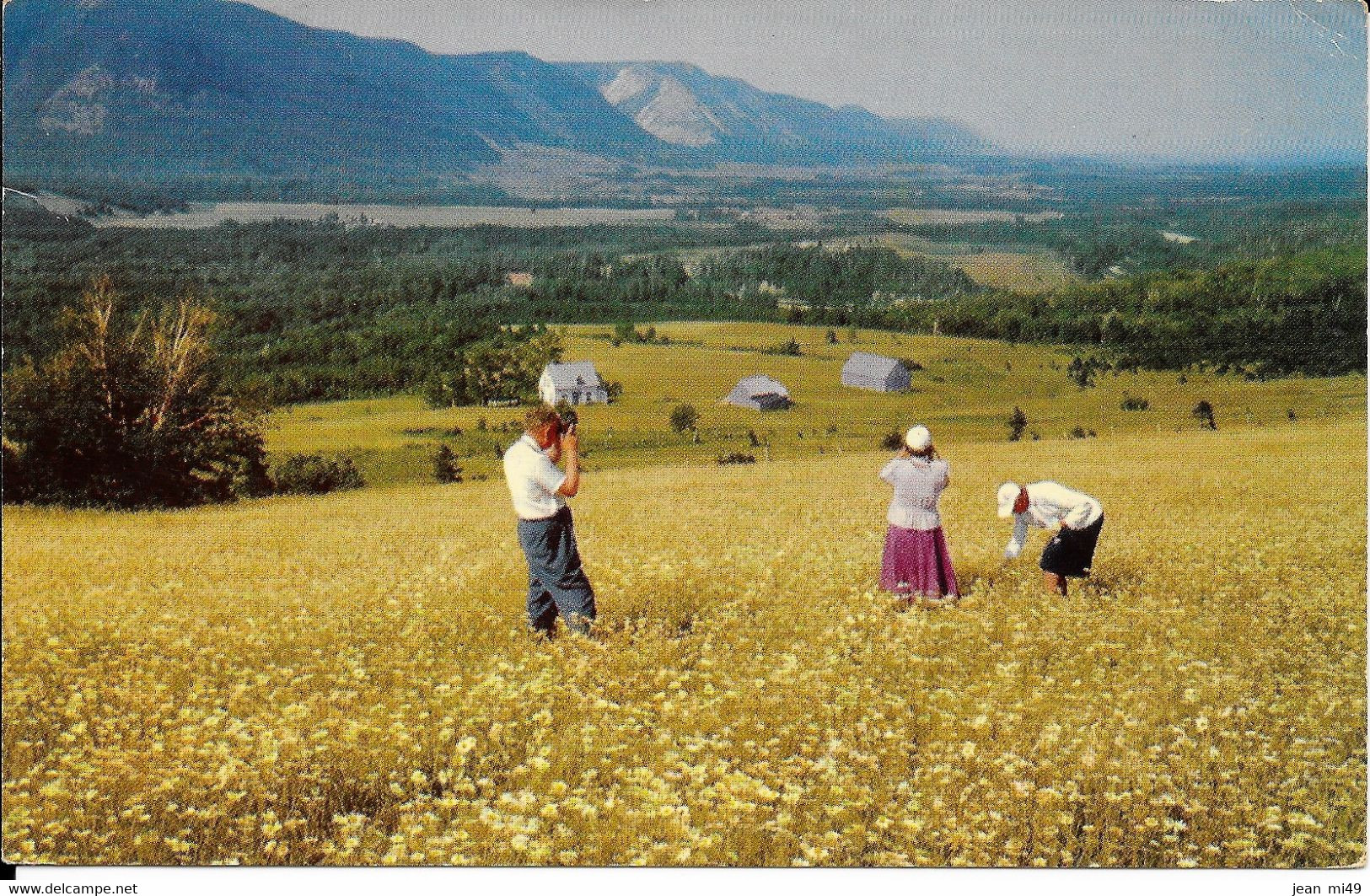 CANADA - CPSM -  Farms In Sunrise Valley - On The Cabot Frail Nova Scotia - Cape Breton