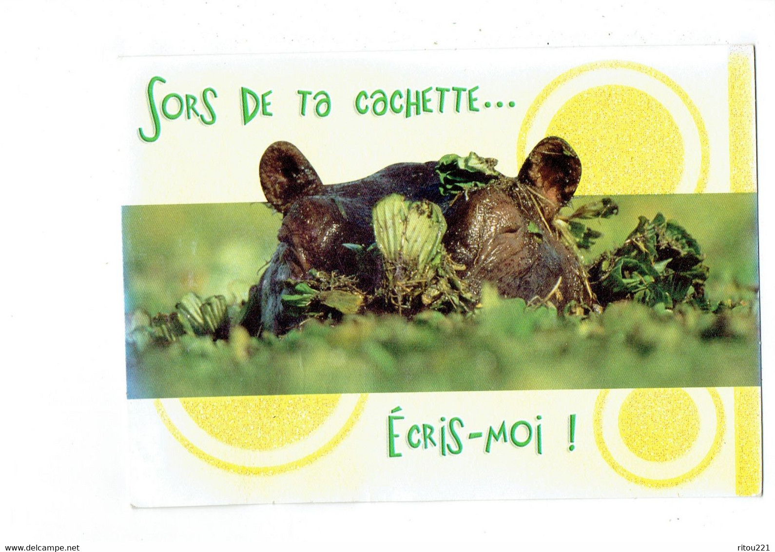 Cpm - Hippopotame - Sors De Ta Cachette - Paillettes - Complètement Givrée Fotoline 31519 - Ippopotami