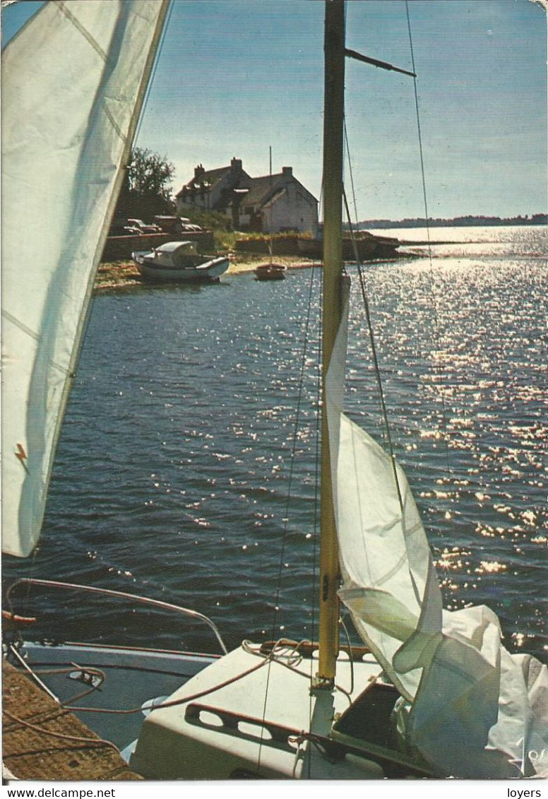 Soir D'été Sur Le Débarcadère De L'île D'Arz. (scan Verso) - Ile D'Arz