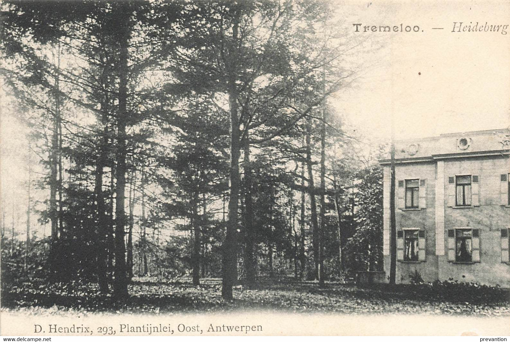 TREMELOO - Heideburg - Carte Circulé En 1909 - Tremelo
