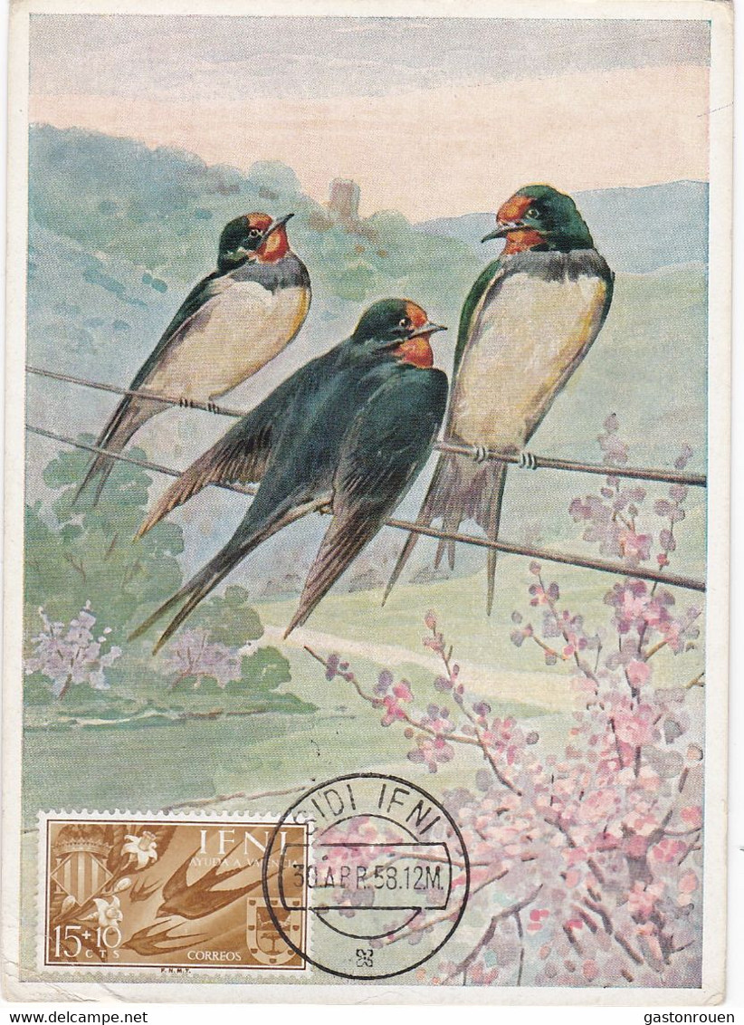 Carte Maximum  Oiseau Bird Ifni 1958 Hirondelle - 1 Con Cassé - Ifni