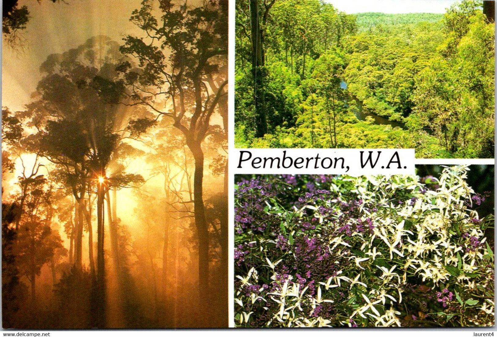 (2 F 28) Australia - WA - Pemberton (posted With Australia Post Office Stamp) - Andere & Zonder Classificatie