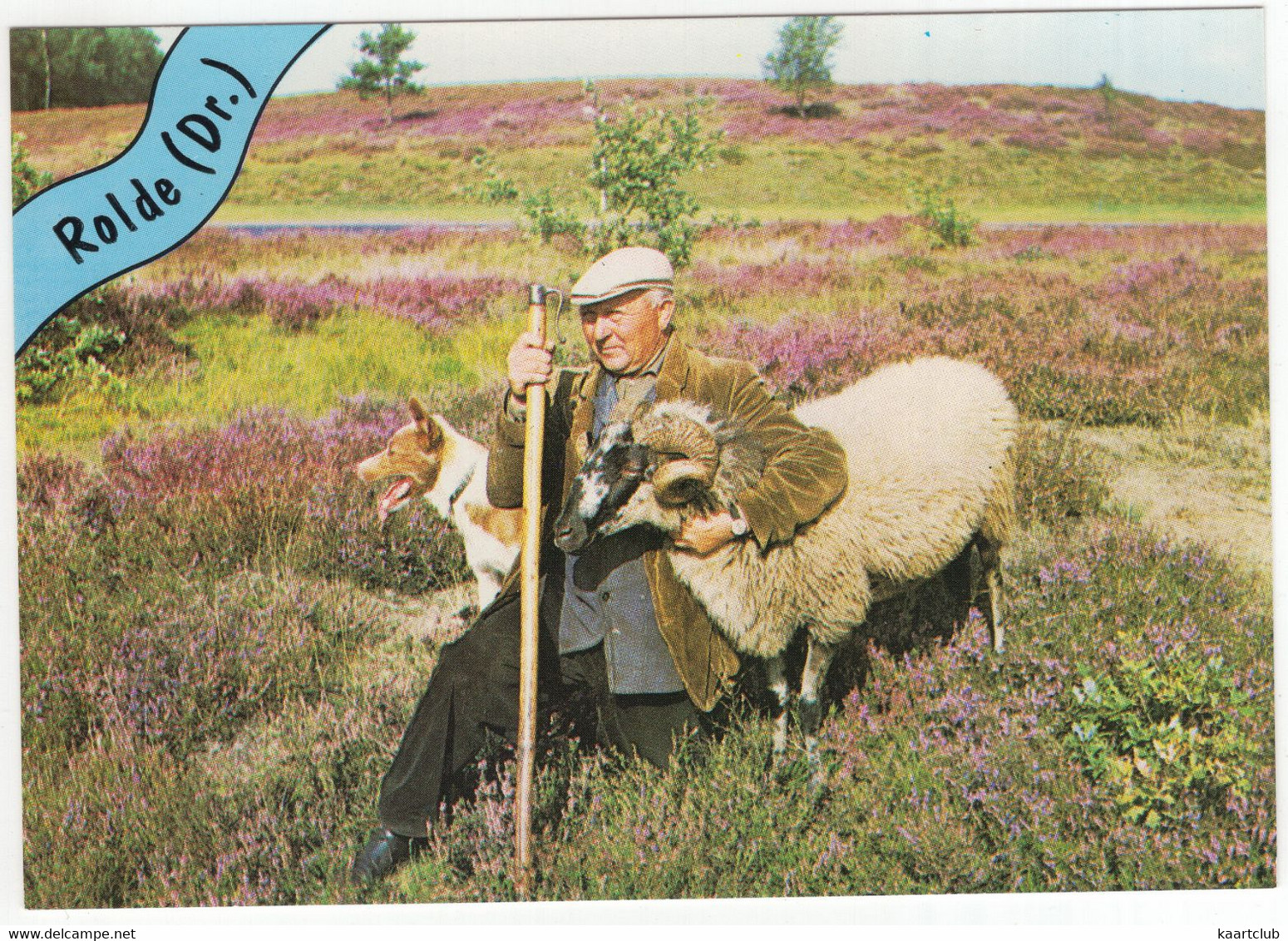 Rolde -  (Drenthe, Nederland / Holland) - Nr. L 33 - Herder Met Hond En Ram - Heide - ('Rolde' In Blauw Banner) - Rolde