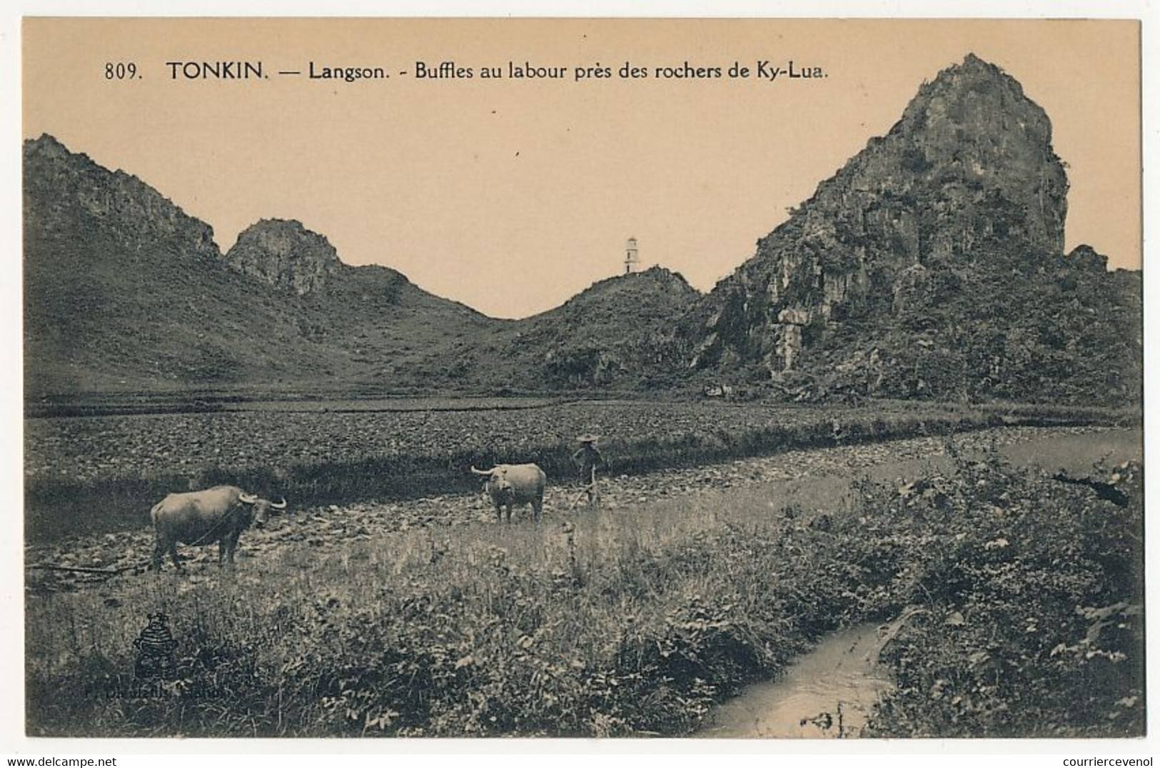 CPA - TONKIN - Langson - Bufles Au Labour Près Des Rochers De Ky-lun - Vietnam