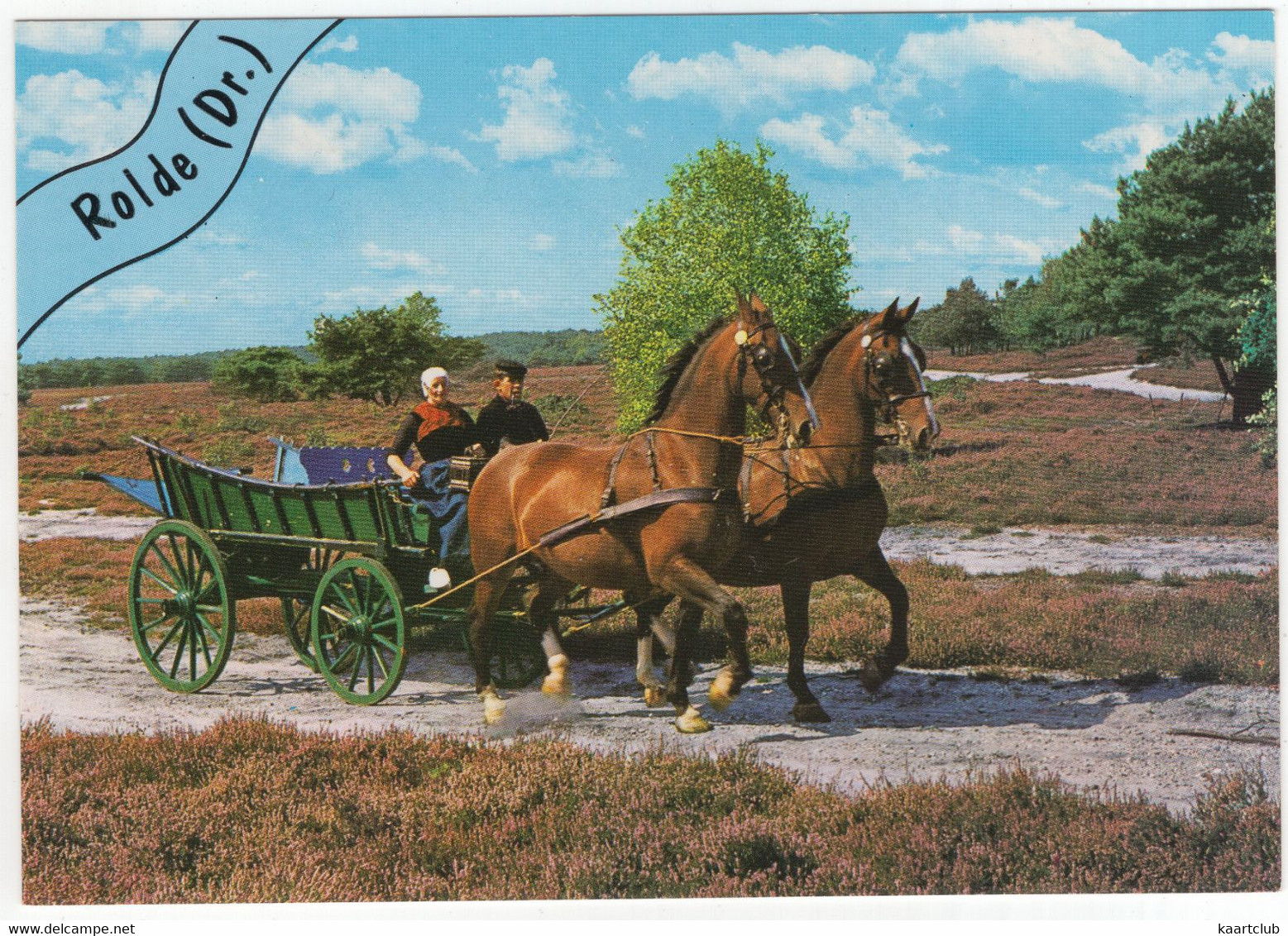 Rolde - (Drenthe, Nederland / Holland) - Nr. 662 - Paarden, Kar, Heide, Klederdrachten - ('Rolde' In Blauw Banner) - Rolde