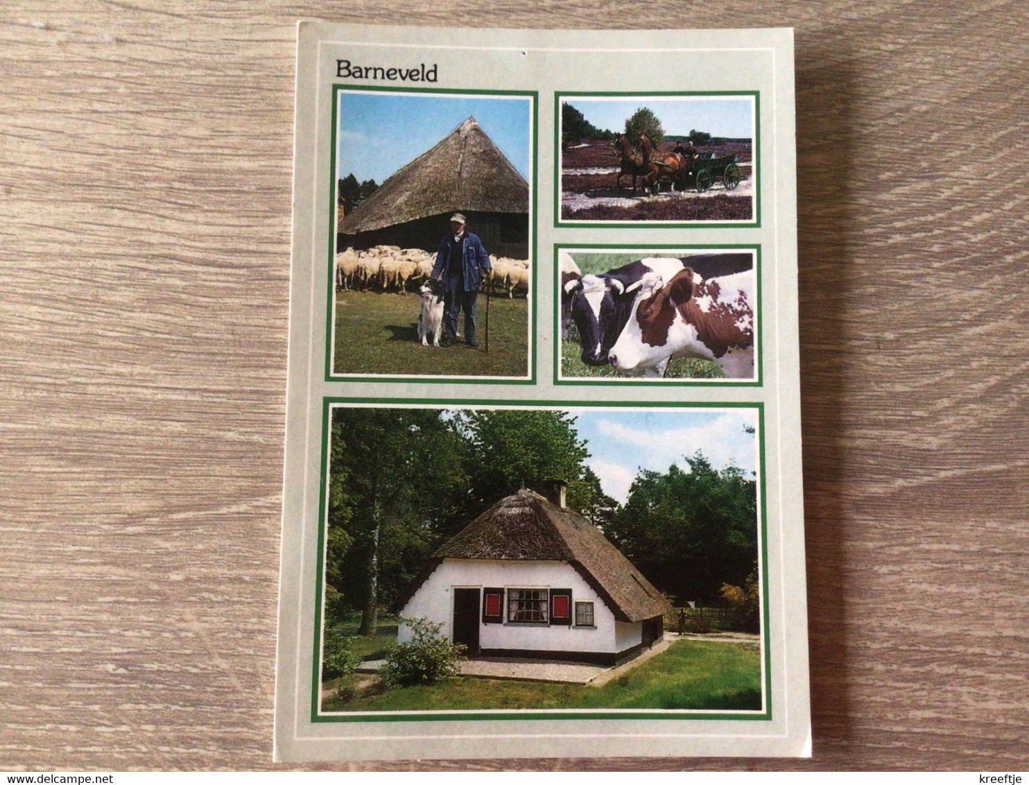 Nederland Barneveld ( Schaap Schaapherder Hond Koe Paard Kar ) - Barneveld