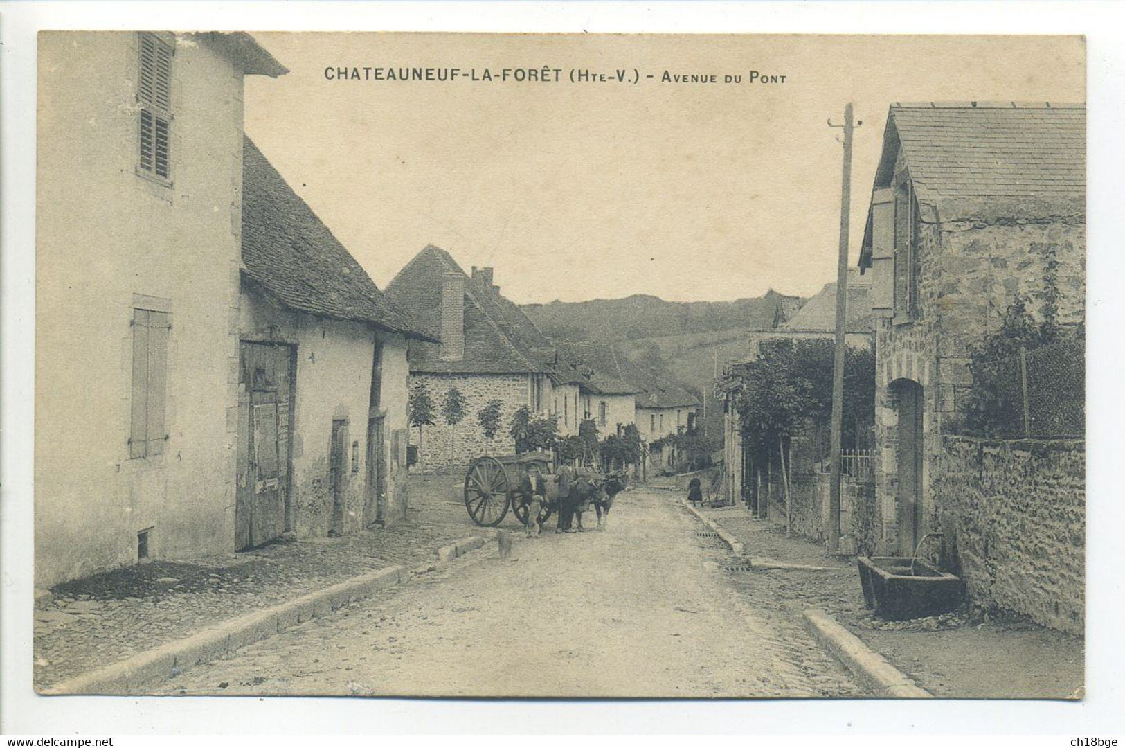 CPA 87 CHATEAUNEUF La FORÊT  Avenue Du Pont - Animation Attelage - Chateauneuf La Foret