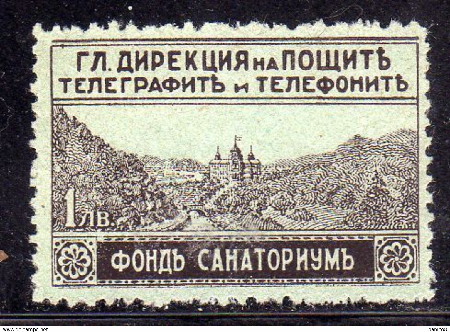 BULGARIA BULGARIE BULGARIEN 1925 1929 POSTAL TAX STAMPS VIEW OF SANATORIUM PESHTERA 1L MNH - Postage Due