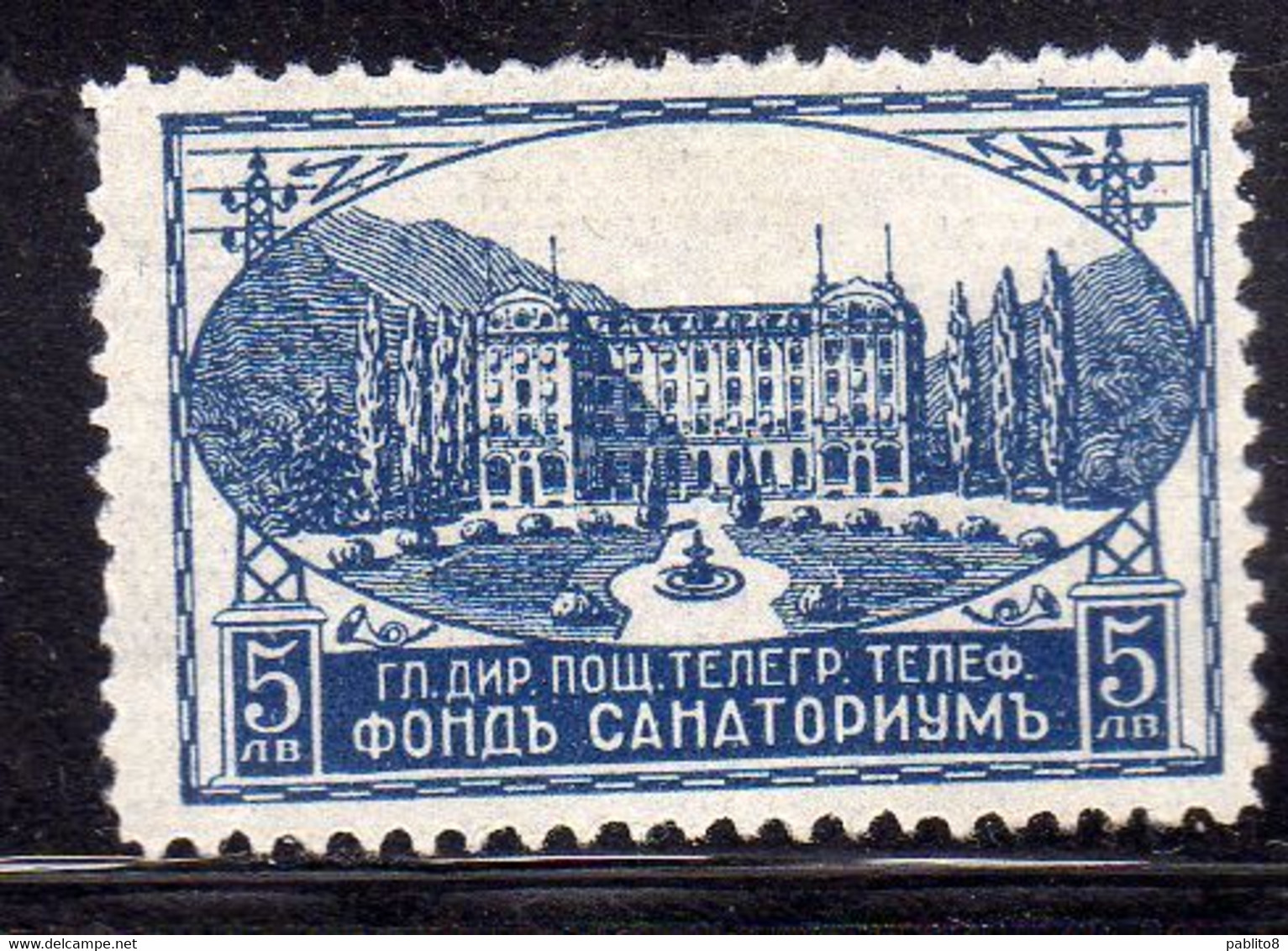 BULGARIA BULGARIE BULGARIEN 1925 1929 POSTAL TAX STAMPS SANATORIUM PESHTERA 5L MNH - Segnatasse