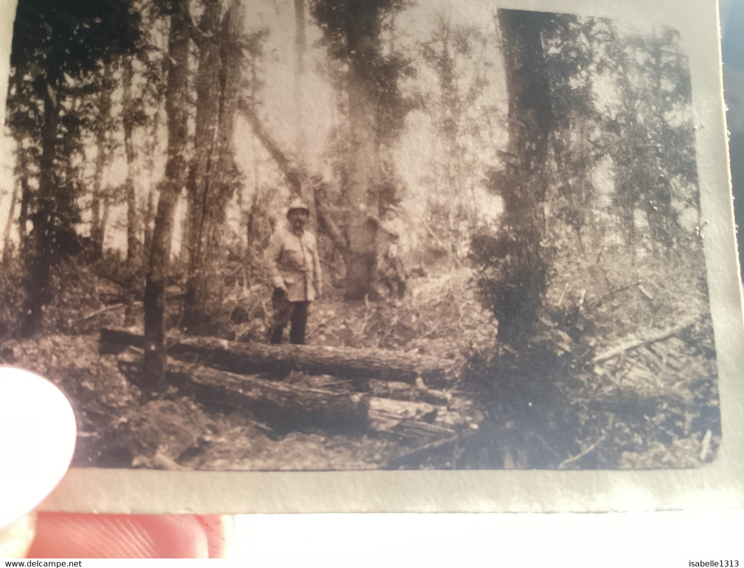 Photo Noir Et Blanc Militaire Dans La Forêt En Tenue Militaire Devant Un Gros Tronc D’arbre Vosges Alsace - Guerra, Militares