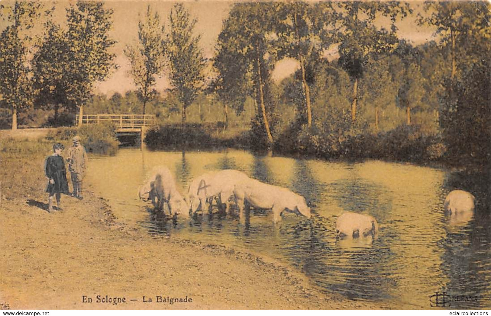 En Sologne Ou Gatinais     45        La Baignade Des Chevaux   (voir Scan) - Sonstige & Ohne Zuordnung