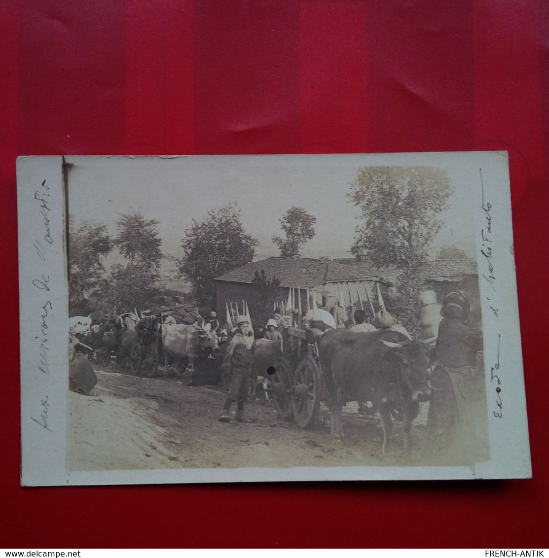 CARTE PHOTO LES ENVIRONS DE MONASTIR EXODE ATTELAGE 1917 - Serbien