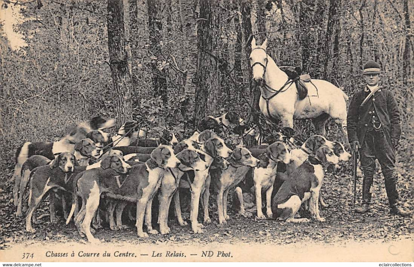 En Sologne Ou Gatinais     45       Chasse à Courre Du Centre  Les Relais N° 374           (voir Scan) - Sonstige & Ohne Zuordnung