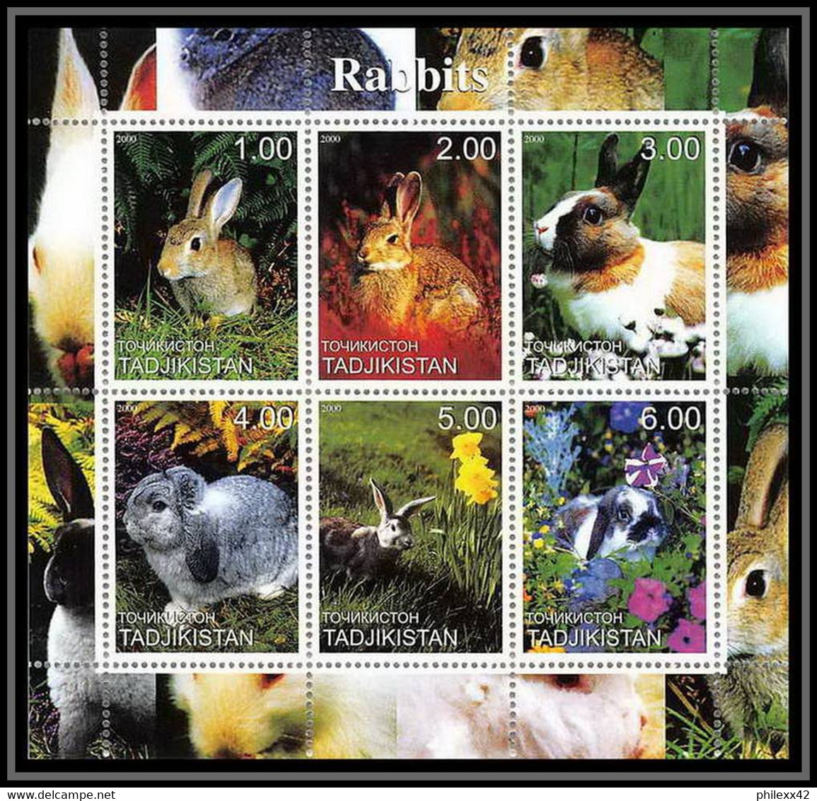 2095/ Bloc Lapin Rabbit Neuf ** MNH Tirage Privé Vignette - Hasen