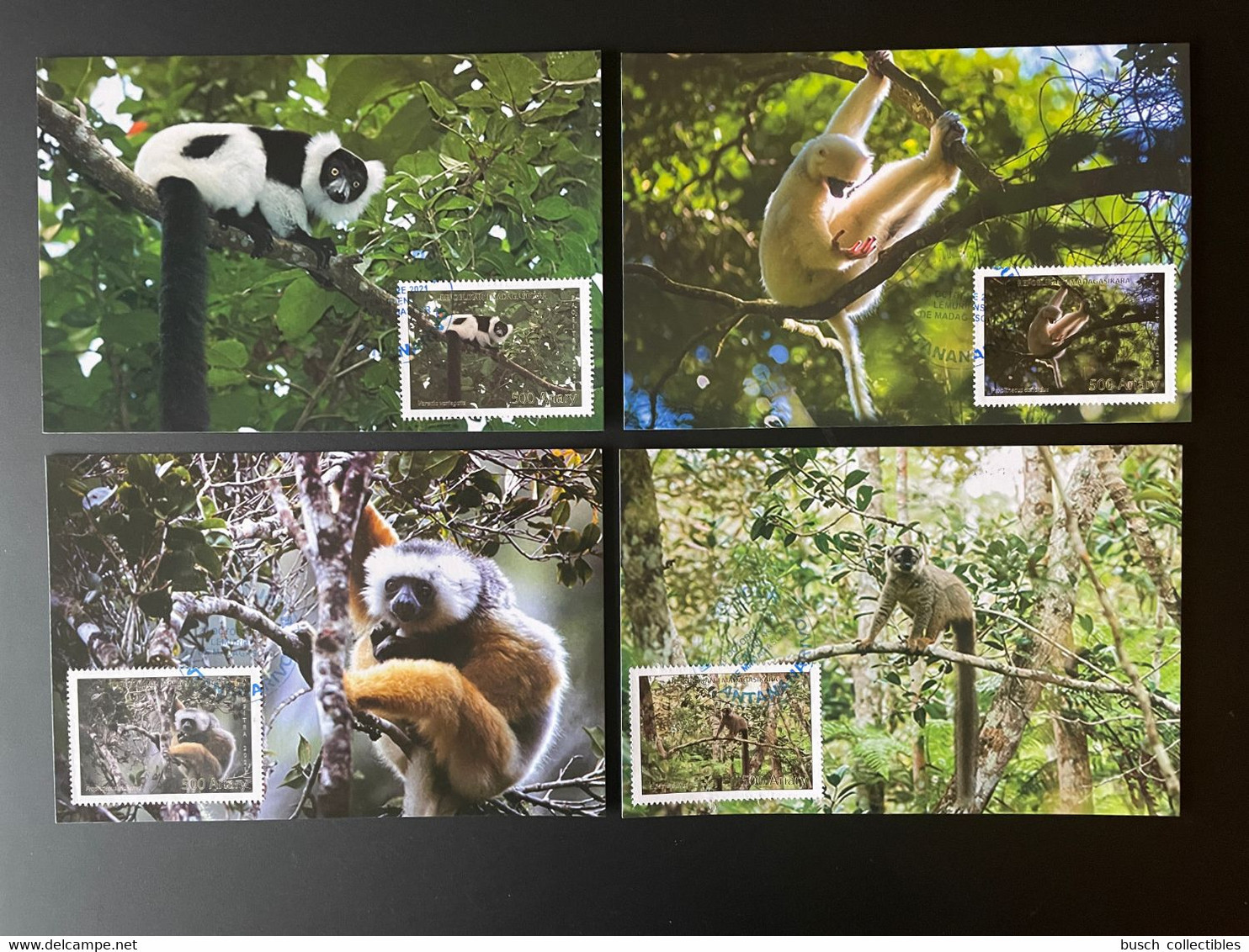 Madagascar Madagaskar 2021 Mi. 2718 - 2721 Lemuriens Lemurs Faune Fauna Propithecus 4 Carte Maximum Card - Affen