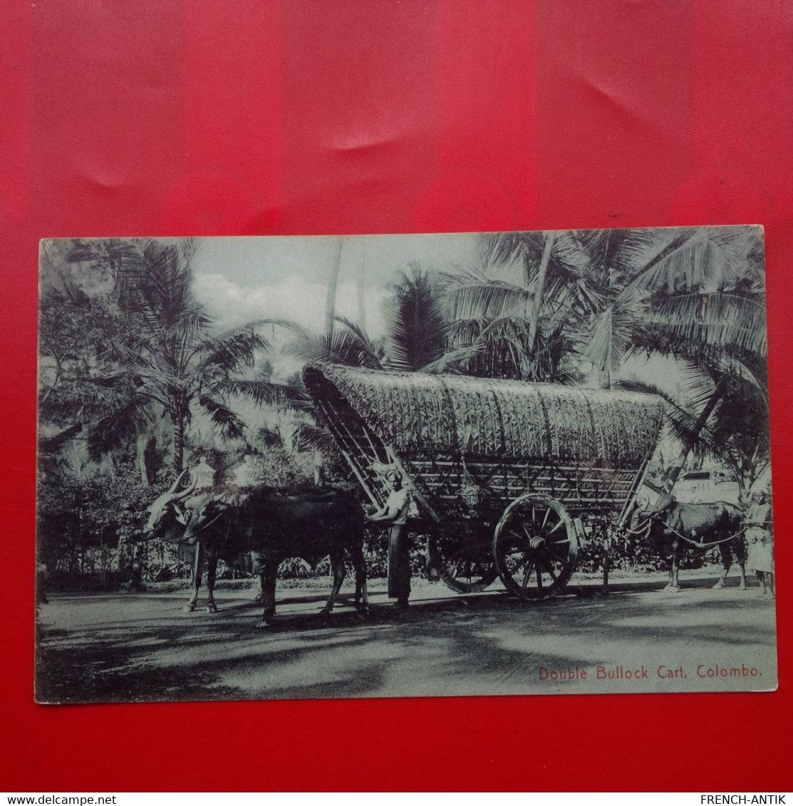 DOUBLE BULLOCK CART COLOMBO - Sri Lanka (Ceylon)