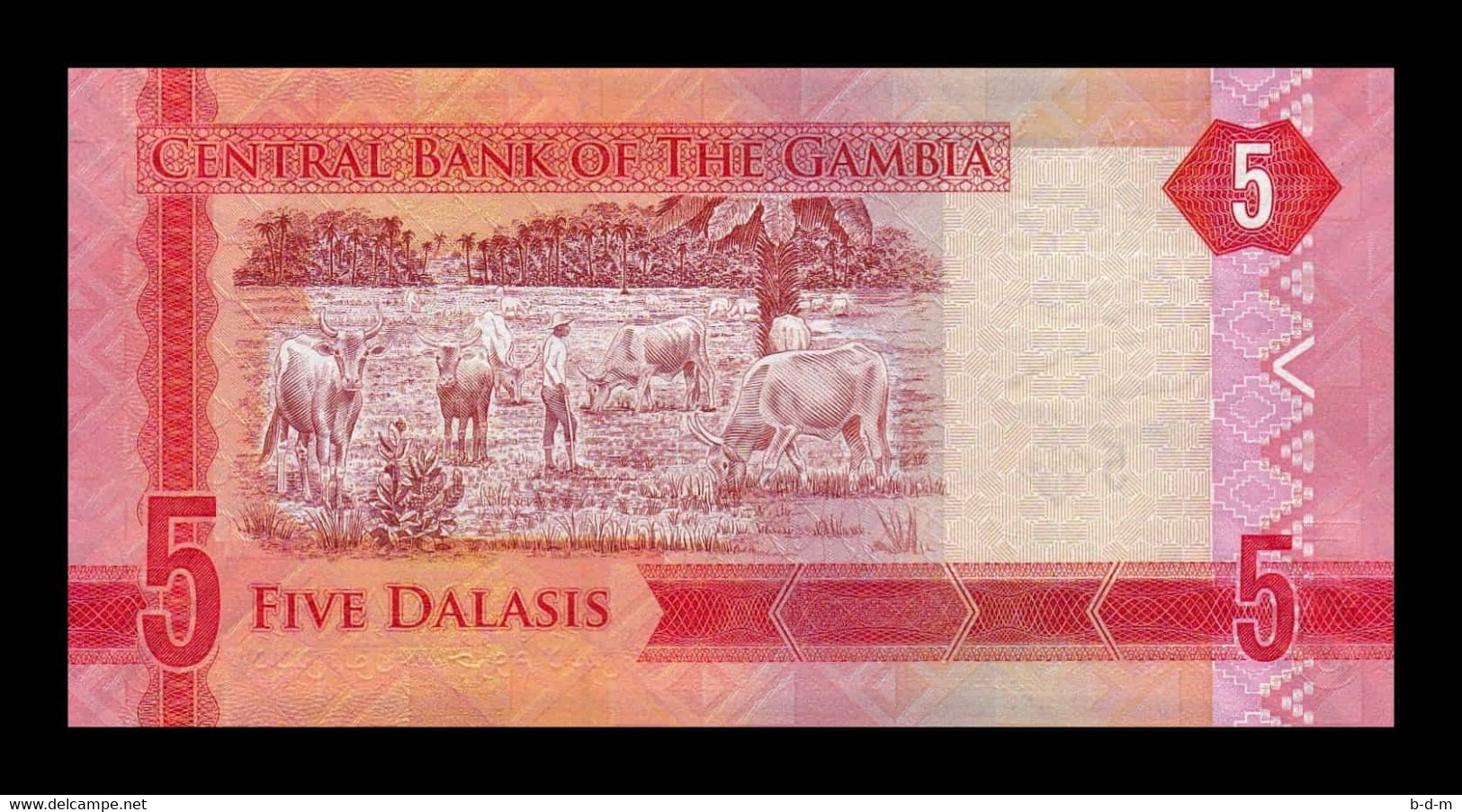 Gambia 5 Dalasis 2015 Pick 31r Serie Z Replacement SC UNC - Gambie