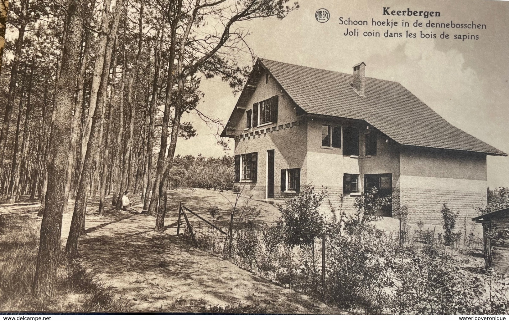 Keerbergen - Schoon Hoekje In De Denneboschen - Keerbergen