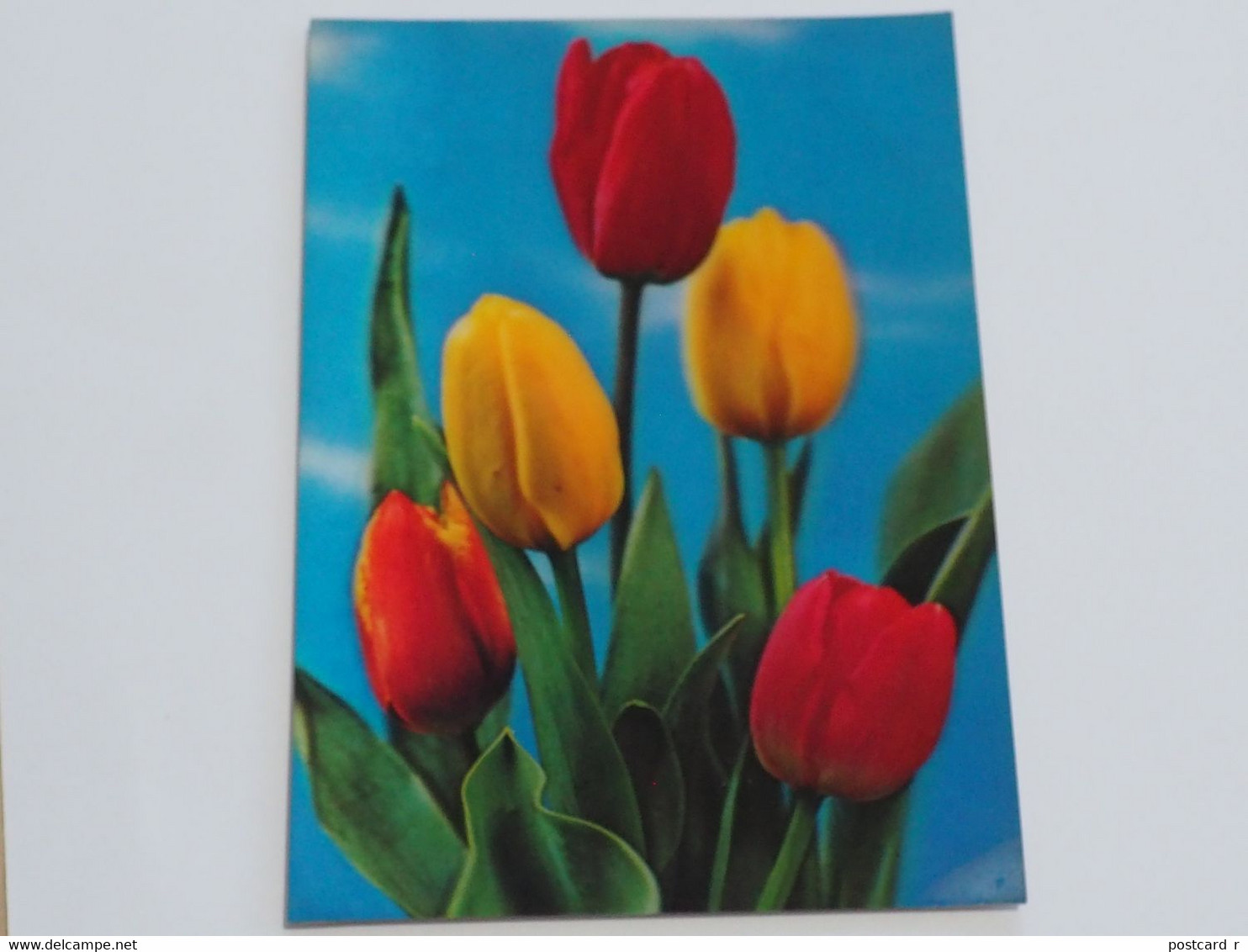 3d 3 D Lenticular Stereo Postcard Tulips  1981 A 214 - Stereoscope Cards