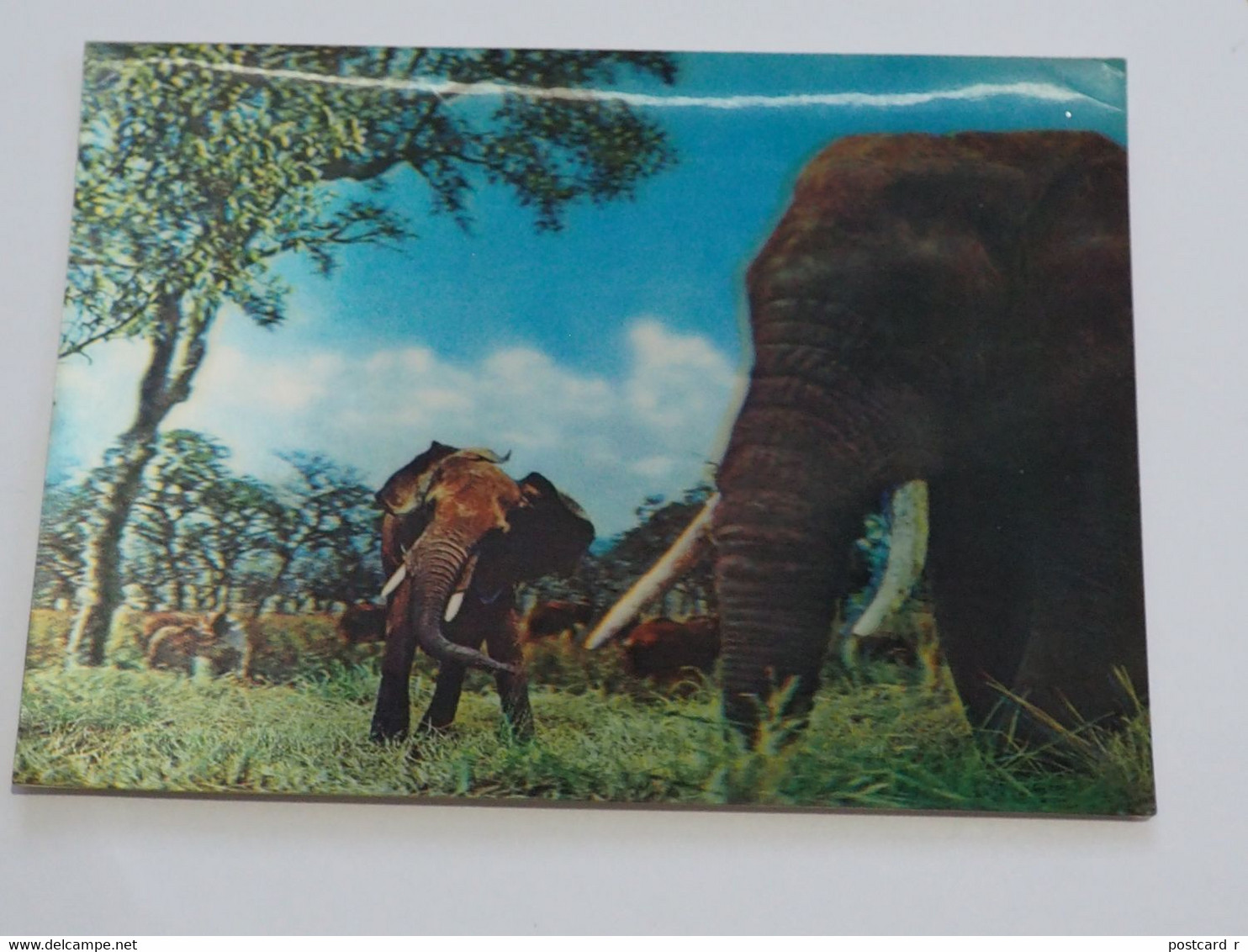 3d 3 D Lenticular Stereo Postcard Elephants   A 215 - Stereoscope Cards