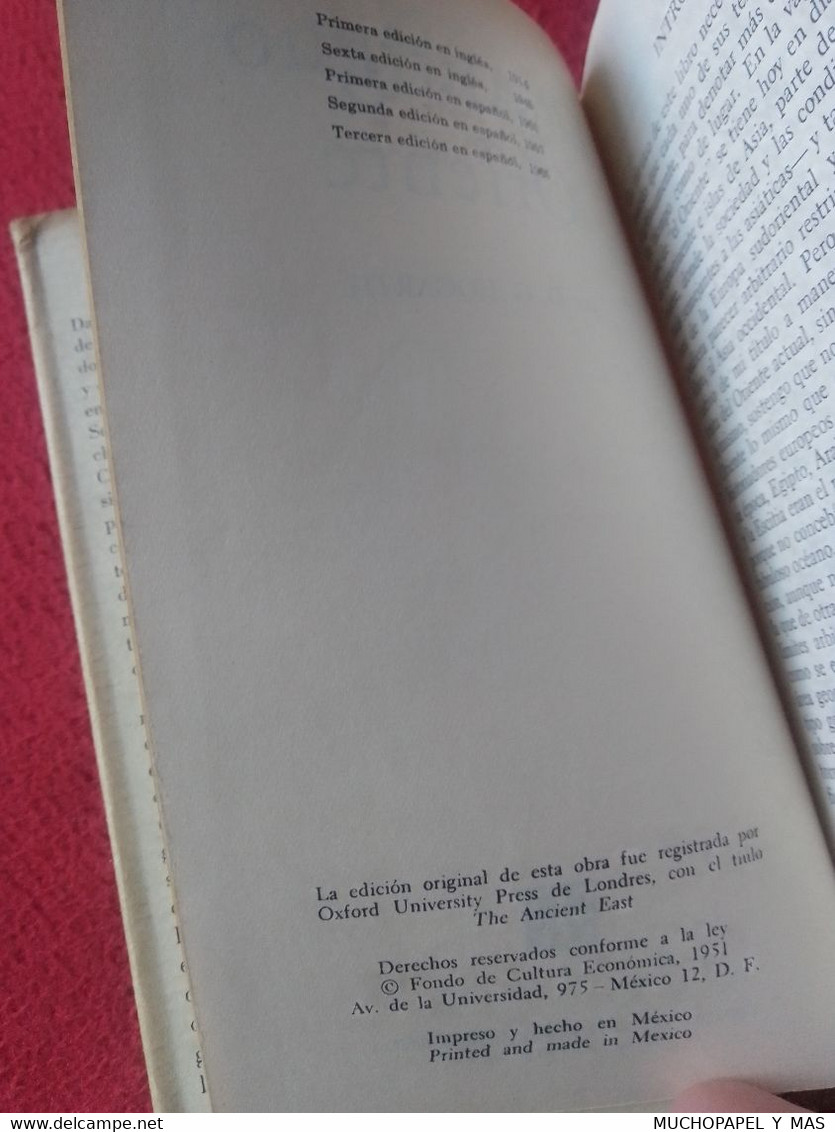 LIBRO 49 EL ANTIGUO ORIENTE DE D. G. HOGARTH 3ª EDICIÓN 1965 BREVIARIOS DEL FONDO CULTURA ECONÓMICA. EFE, VER FOTOS..... - Histoire Et Art