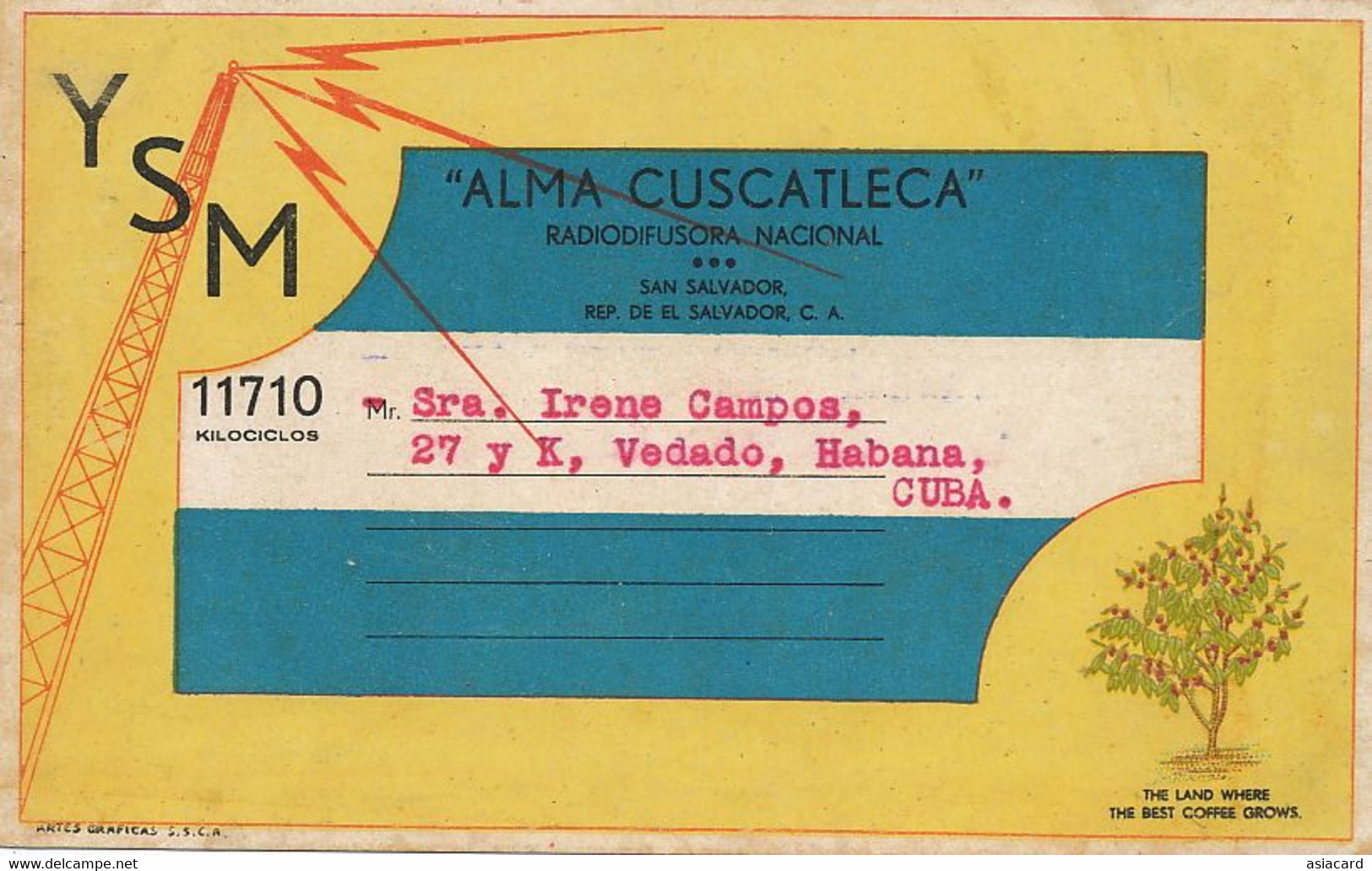 QSL Card Alma Cuscatleca Advert For Coffee . Coffee Tree . Used To Vedado Cuba 1938 - El Salvador