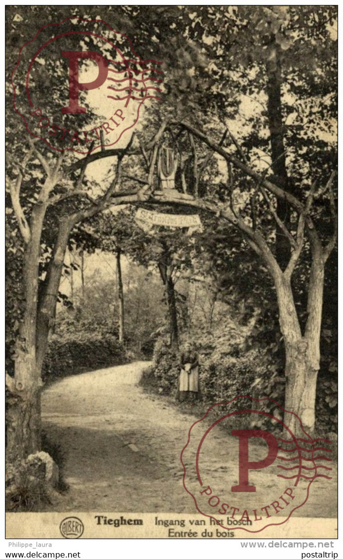 1904   TIEGHEM / ANZEGEM / INGANG VAN HET BOS / SINT ARNOLDUS PARK  ENTREE DU BOIS - Anzegem