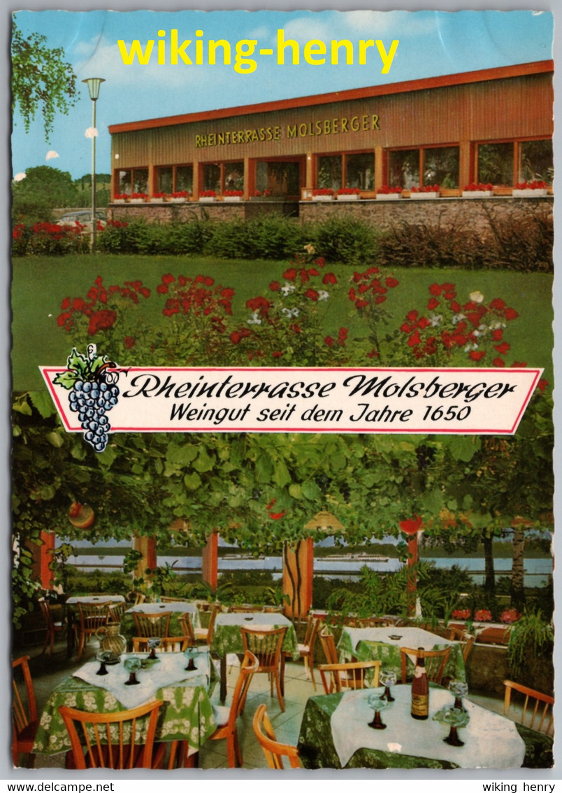 Oestrich Winkel - Molsberger Rheinterrasse Und Weinstube 5 - Oestrich-Winkel