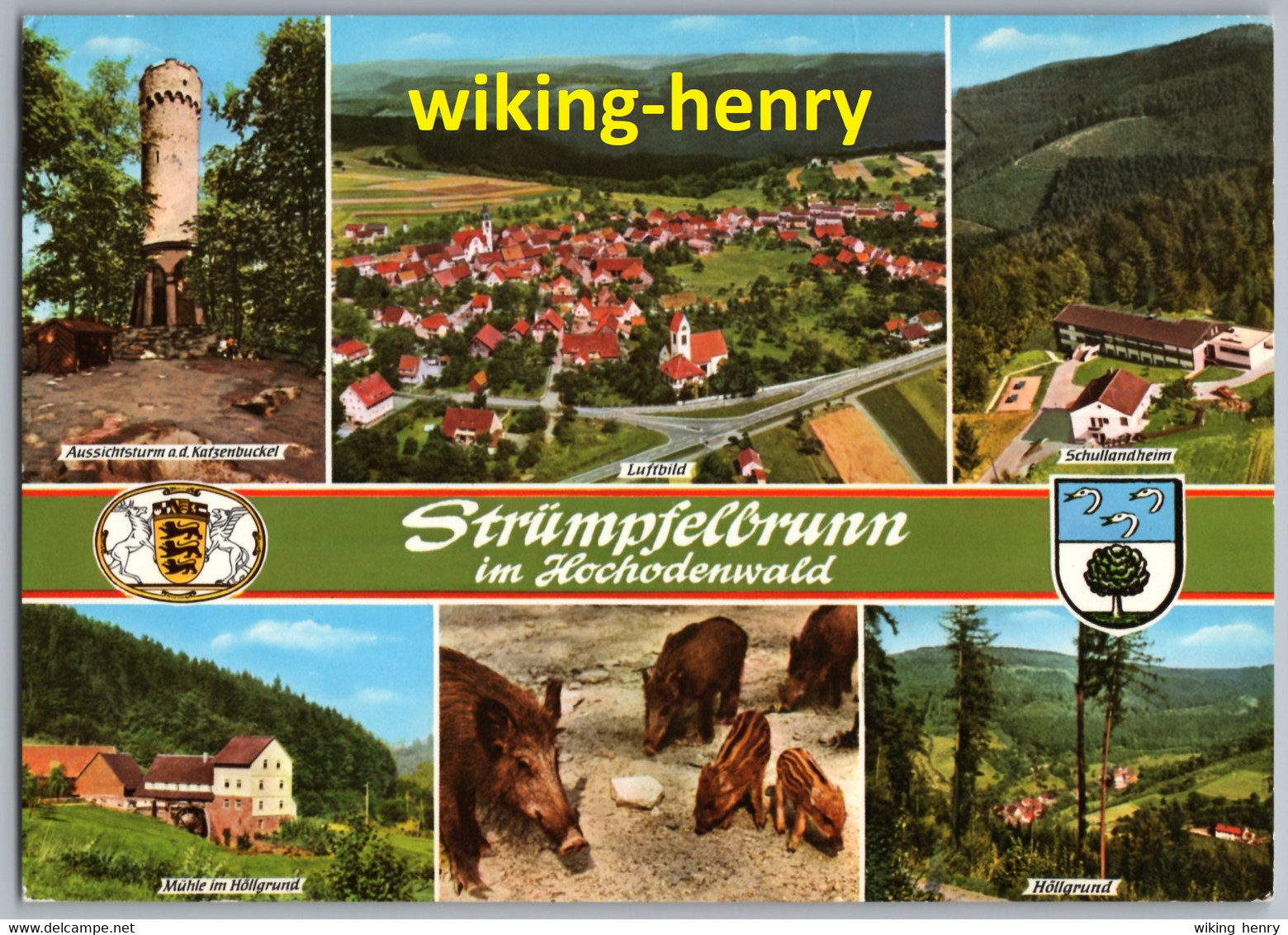 Waldbrunn Strümpfelbrunn - Mehrbildkarte 1 Mit Aussichtsturm Auf Dem Katzenbuckel Und Schullandheim - Waldbrunn