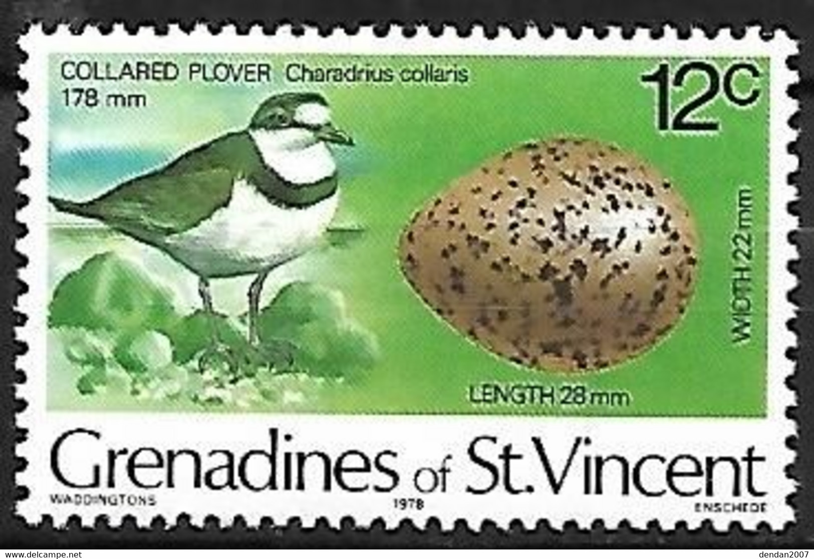 Grenadines Of St Vincent  - MNH ** 1978 :    Collared Plover  -  Charadrius Collaris - Otros & Sin Clasificación