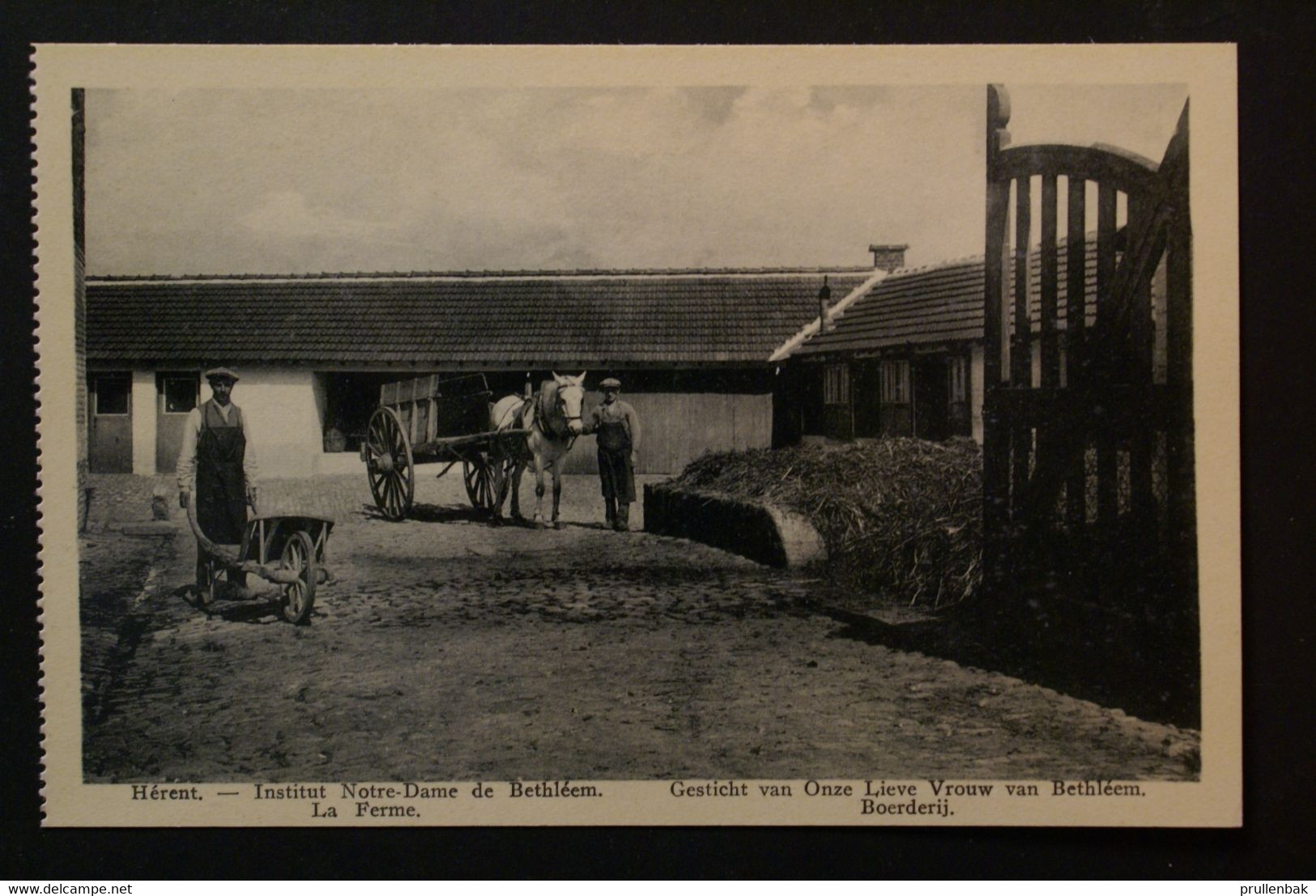 Herent - Gesticht Van OLV Van Bethléem   / Boerderij - Herent