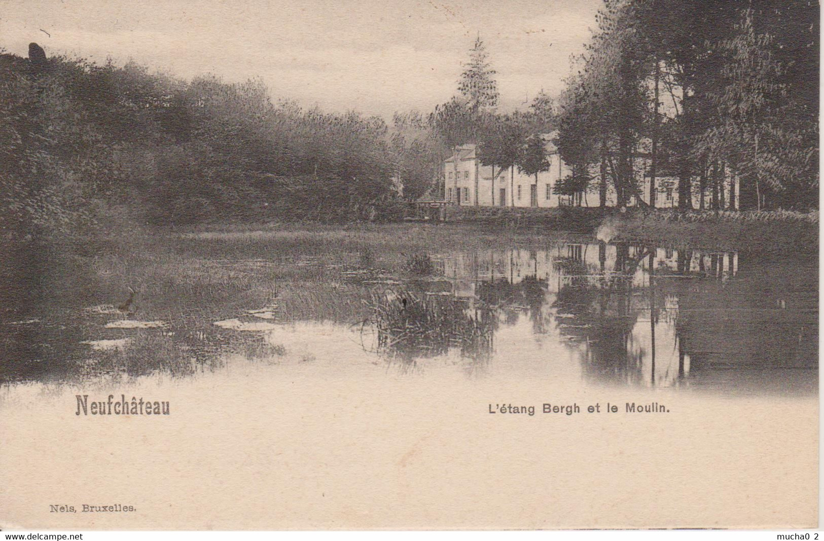 NEUFCHATEAU - L'ETANG DE BERGH ET LE MOULIN - NELS BRUXELLES - Neufchâteau