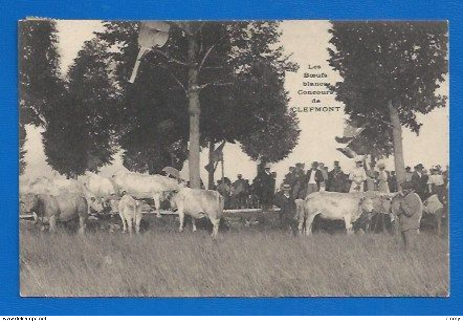 52 - CLEFMONT - CONCOURS AGRICOLE -  EXPOSITION DES BOEUFS BLANCS - 1913 - Clefmont