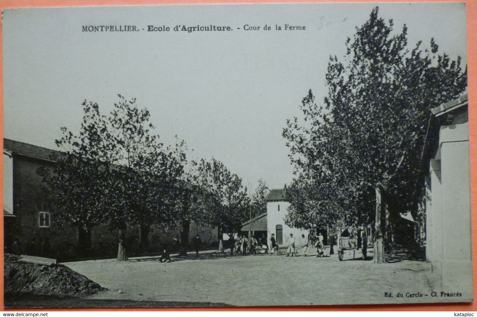 CARTE MONTPELLIER - 34 - ECOLE D' AGRICULTURE - COUR DE LA FERME -SCAN RECTO/VERSO-13 - Montpellier