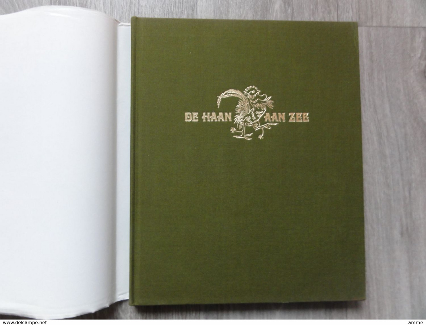 De Haan  * (Boek)  Het Boek Van De Haan .... En De Haan - De Haan