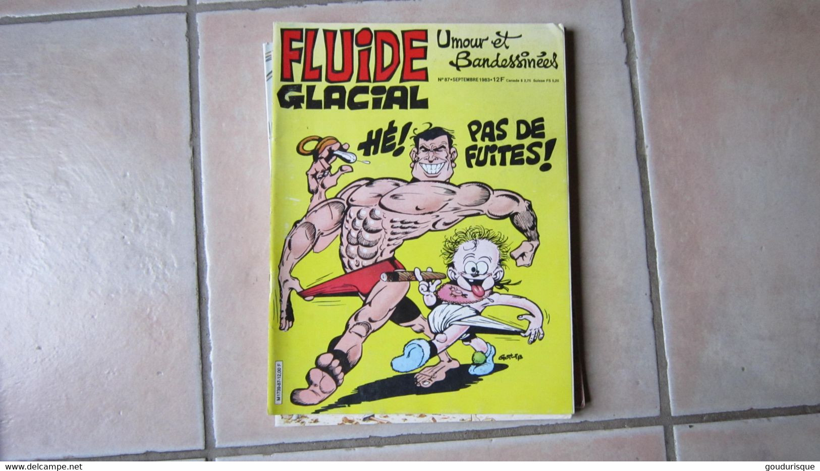 FLUIDE GLACIAL  N°87 - Fluide Glacial