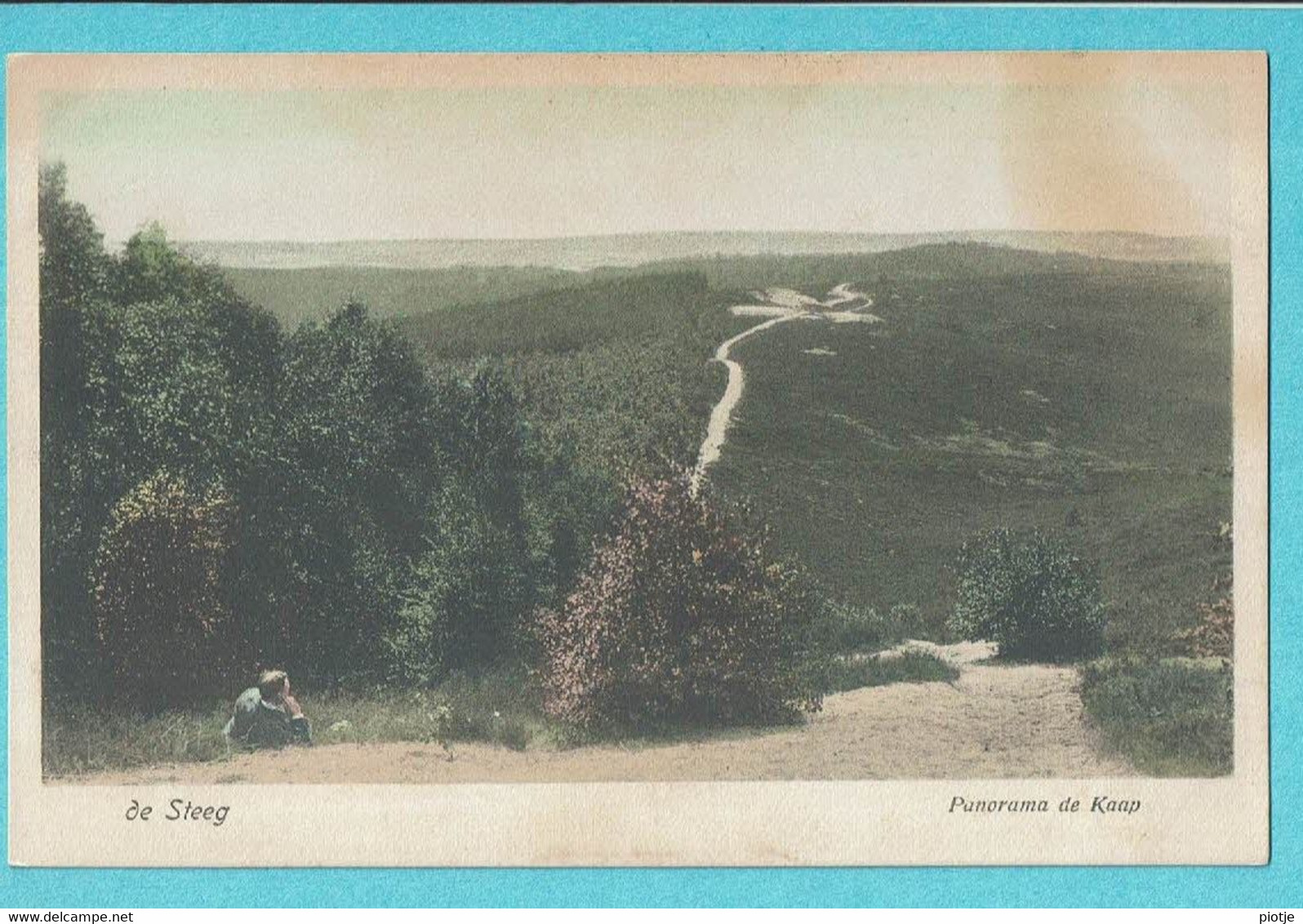 * De Steeg - Rheden (Gelderland - Nederland) * (Weenenk & Snel, Den Haag, De St 8) Panorama De Kaap, Parc, Old - Rheden