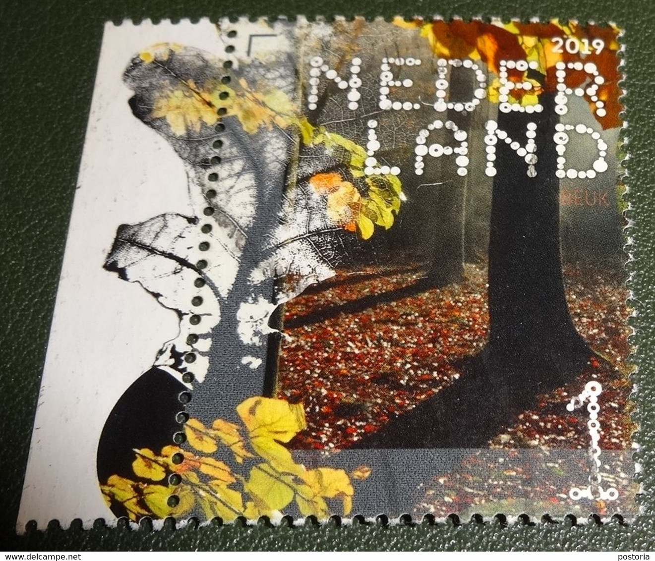 Nederland - NVPH - Xxxx - 2019 - Gebruikt - Beleef De Natuur - Beuk - Met Tab - Used Stamps